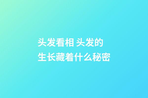 头发看相 头发的生长藏着什么秘密